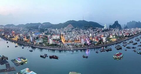 10X trúng tuyển 6 đại học top đầu châu Âu nhờ mê truyện trinh thám