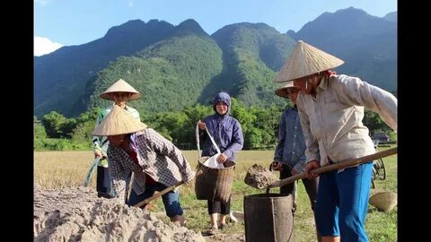 TP.HCM công bố số thí sinh đăng ký nguyện vọng 1 thi lớp 10